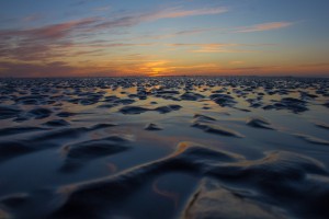 Wadden Sea,DE